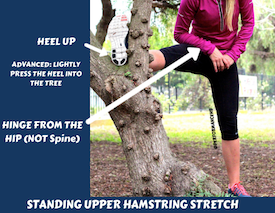 12 Best Hamstring Stretches For Runners