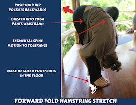 12 Best Hamstring Stretches For Runners