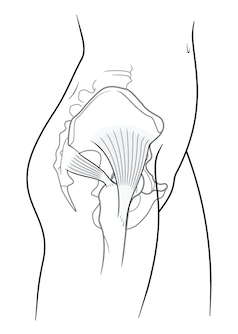 7 Correctable Hip Pain Diagnosis & Treatments for Injured Runners