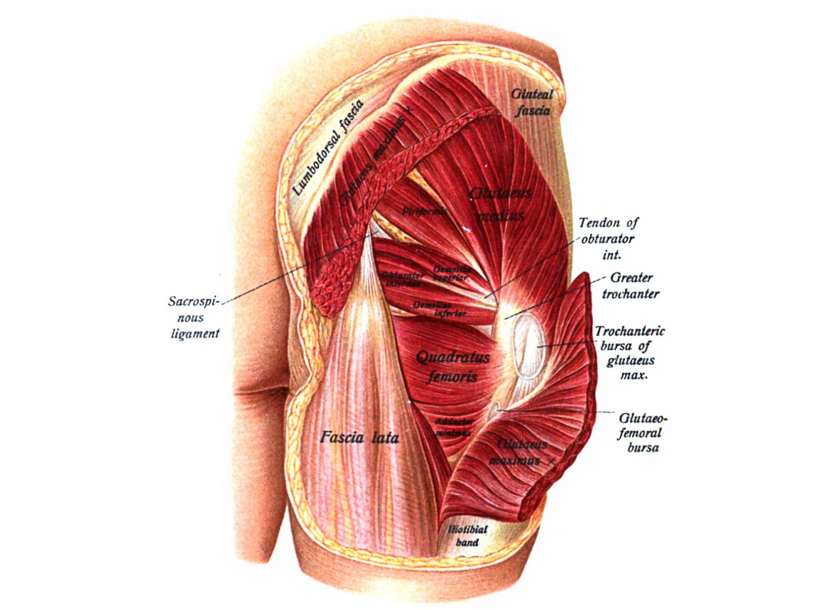 Piriformis Syndrome Rehab
