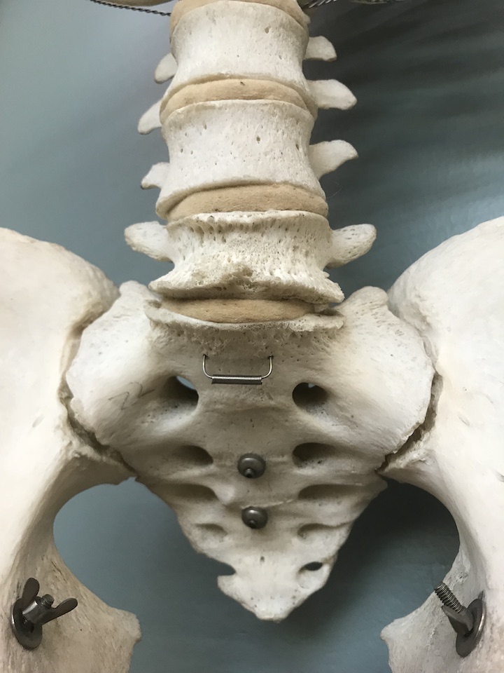 Pressure in Lower Back: How To Relieve Pain For Good [2021]