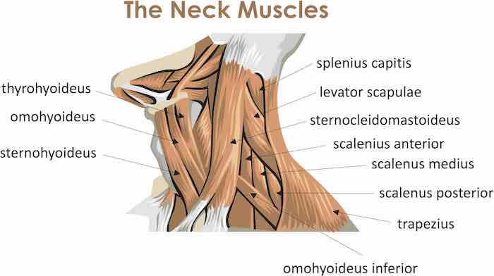 16 Passive Treatment Options for the Ulnar Nerve so you can Sleep Longer