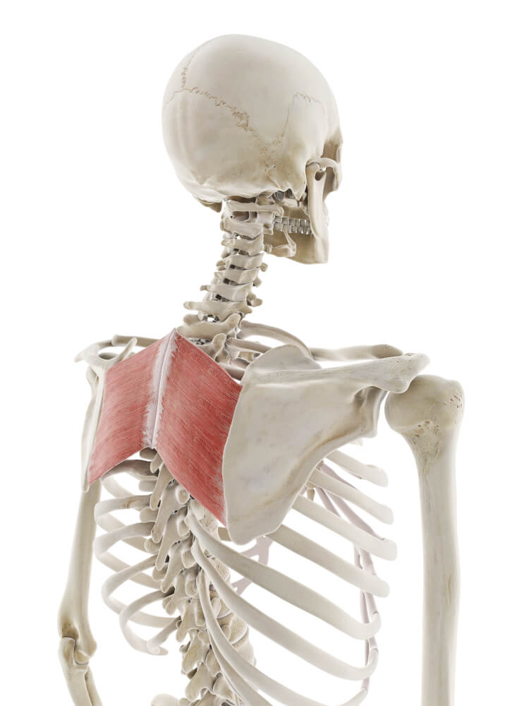 Nerd Neck: 5 Ways To Fix It [2021 Update]